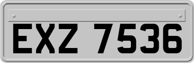 EXZ7536