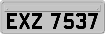 EXZ7537