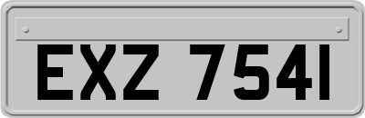 EXZ7541