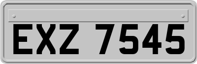 EXZ7545