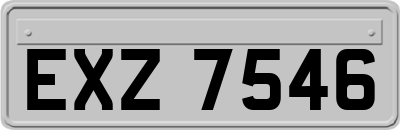 EXZ7546