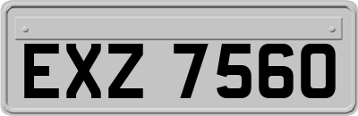 EXZ7560