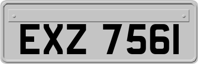 EXZ7561