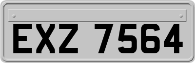 EXZ7564