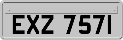 EXZ7571