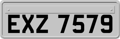 EXZ7579