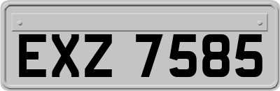 EXZ7585