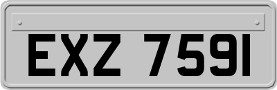 EXZ7591