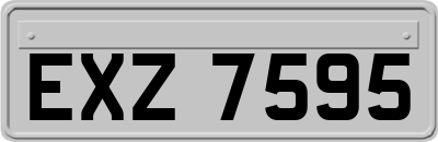 EXZ7595