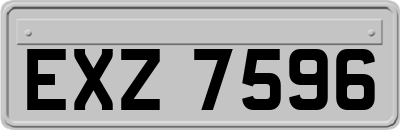EXZ7596