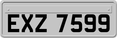 EXZ7599
