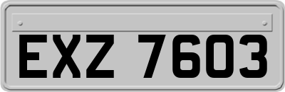 EXZ7603