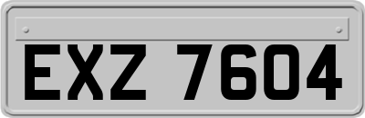 EXZ7604