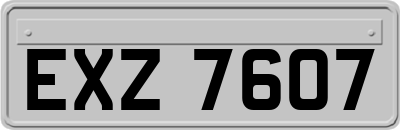 EXZ7607