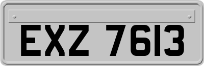 EXZ7613