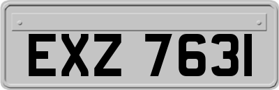 EXZ7631