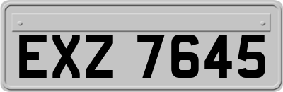 EXZ7645