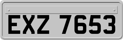 EXZ7653