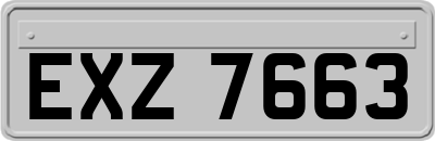 EXZ7663