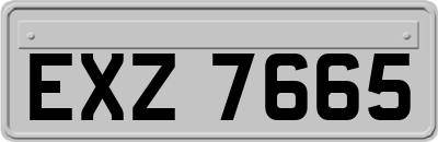 EXZ7665