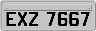 EXZ7667