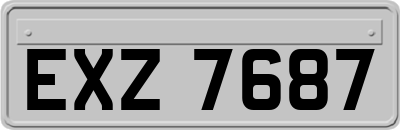 EXZ7687