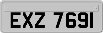 EXZ7691