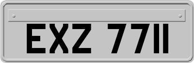 EXZ7711