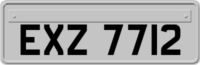 EXZ7712