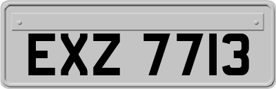 EXZ7713