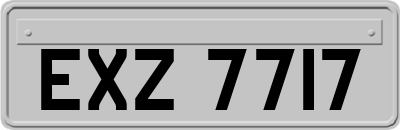 EXZ7717