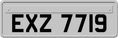 EXZ7719