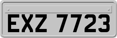 EXZ7723