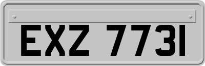 EXZ7731