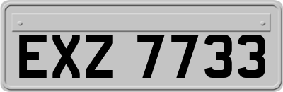 EXZ7733