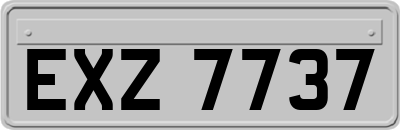 EXZ7737