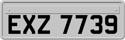 EXZ7739