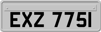 EXZ7751