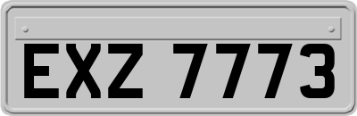 EXZ7773