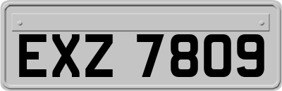 EXZ7809