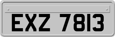 EXZ7813