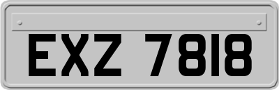 EXZ7818