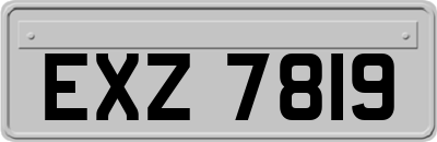 EXZ7819
