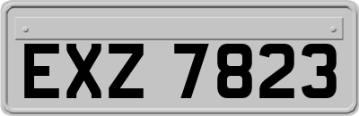 EXZ7823