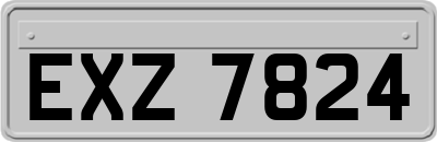 EXZ7824