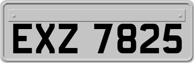 EXZ7825