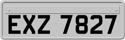 EXZ7827