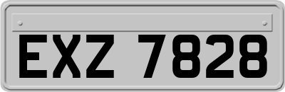 EXZ7828