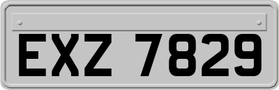 EXZ7829