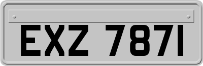 EXZ7871